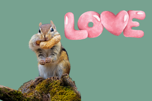 Belmont Peanuts is Love
