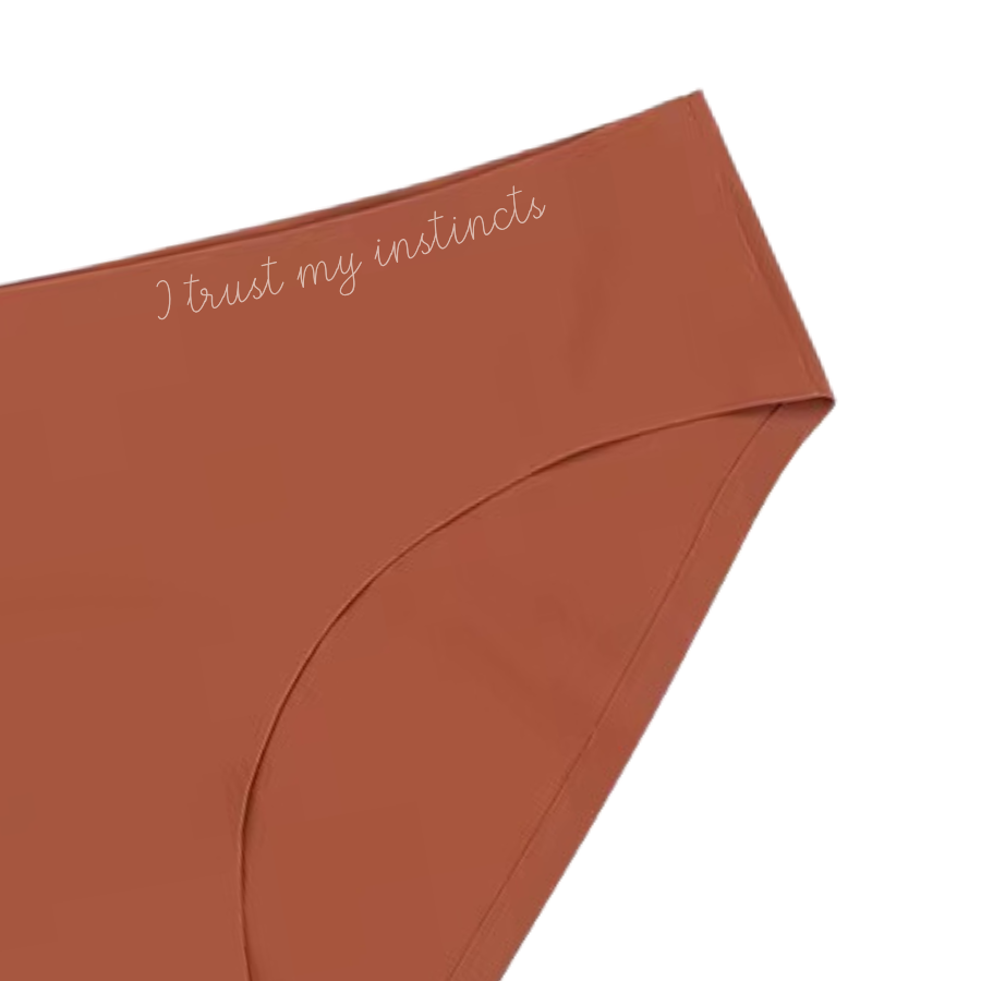 (Courage) 4pk Seamless Brief