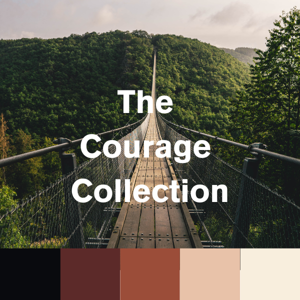 (Courage) 4pk Seamless Brief