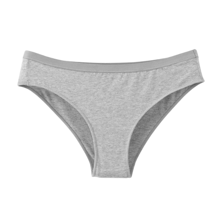 Basic Brief (grey)